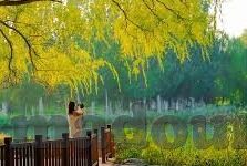 自拍偷拍人妻-窥视的边界，自拍与偷拍人妻的伦理探讨